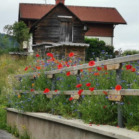 Ferienhaus Raumberg 外观 照片