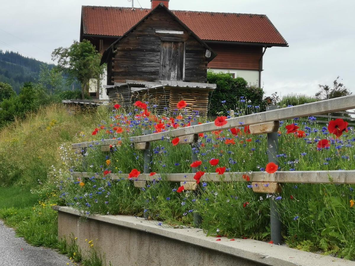 Ferienhaus Raumberg 外观 照片